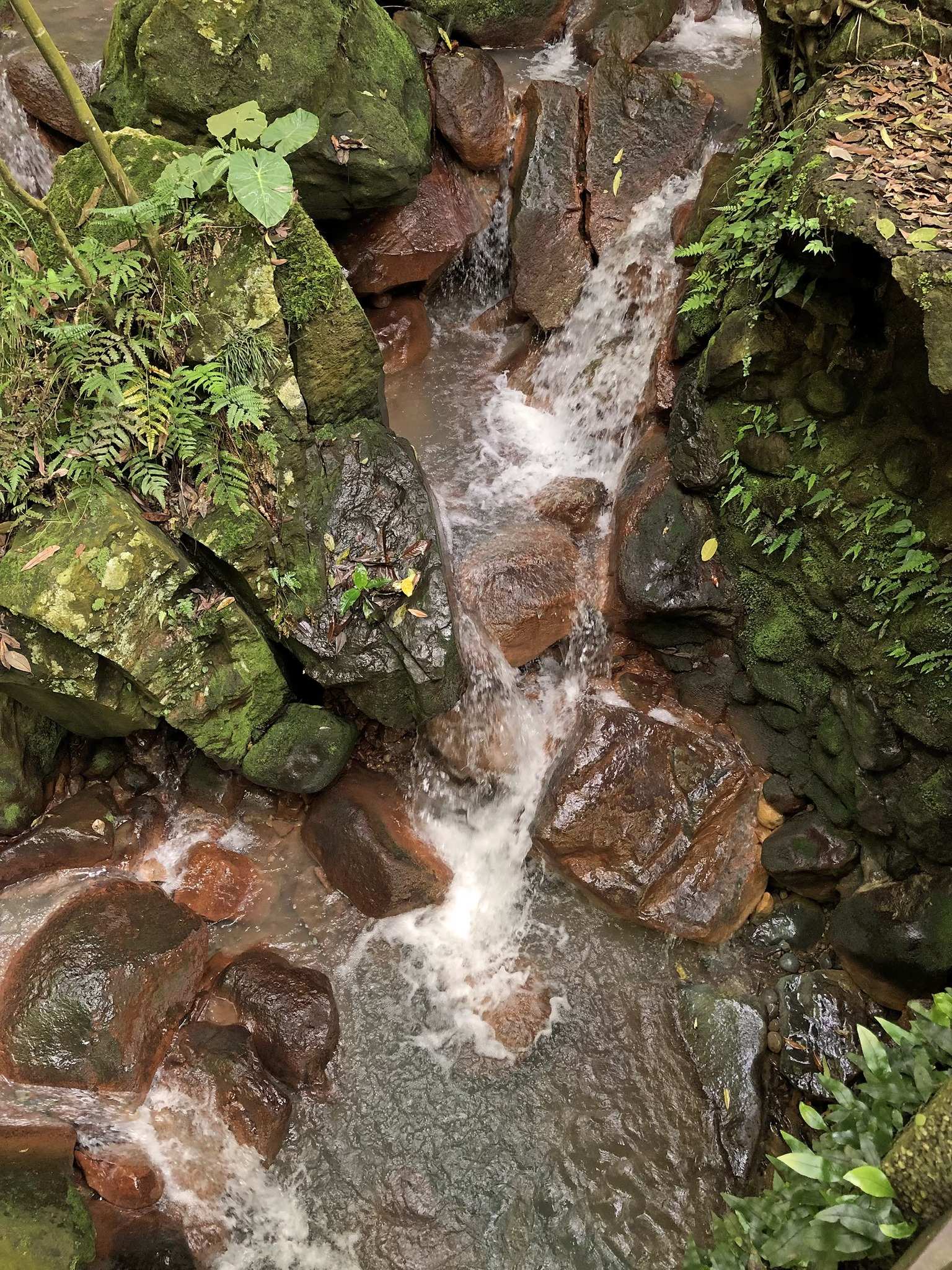 Waterfall in the woods